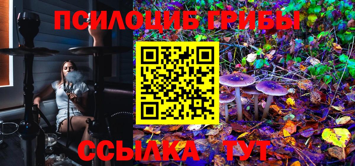 Галлюциногенные грибы Psilocybe  Псилоцибиновые грибы Magic Shrooms  купить наркоту  Курчатов  Вход с VPN 